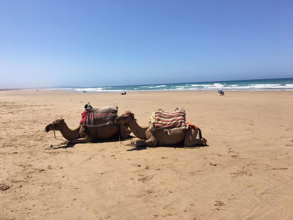 Appartement De Luxe Chez Hicham Asilah Esterno foto